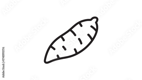 Simple line drawing of a fresh sweet potato on a white background