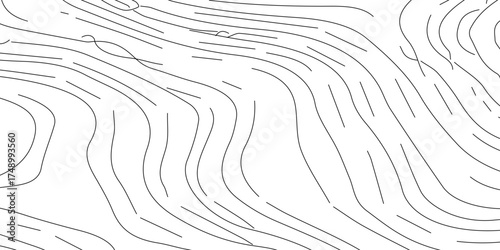 Black and white wavy lines texture creates a desert dune pattern illustration design for a vector wallpaper