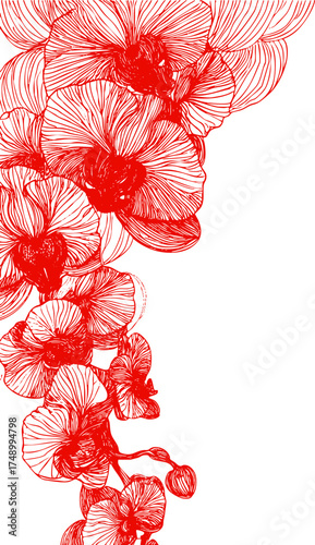 Red hand drawn orchid flowers cascading along the side. Elegant line art illustration.