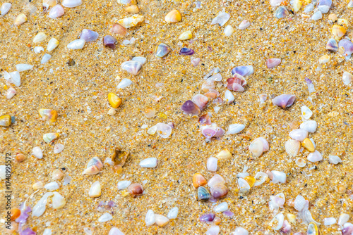 Thailand beach sand with pebbles colorful shells and water texture.