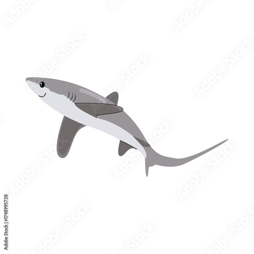  thresher shark