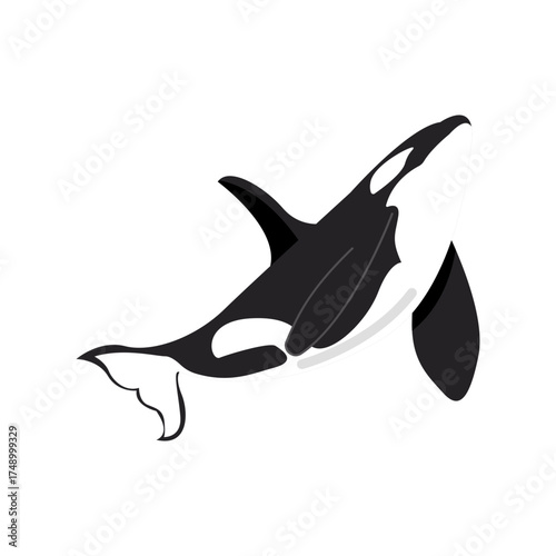 orca