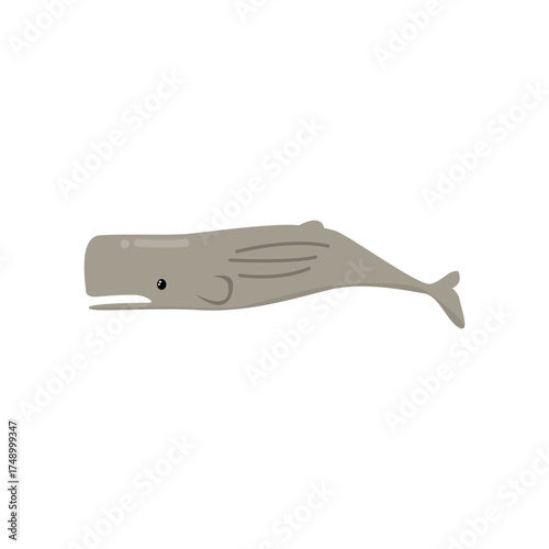 sperm whale