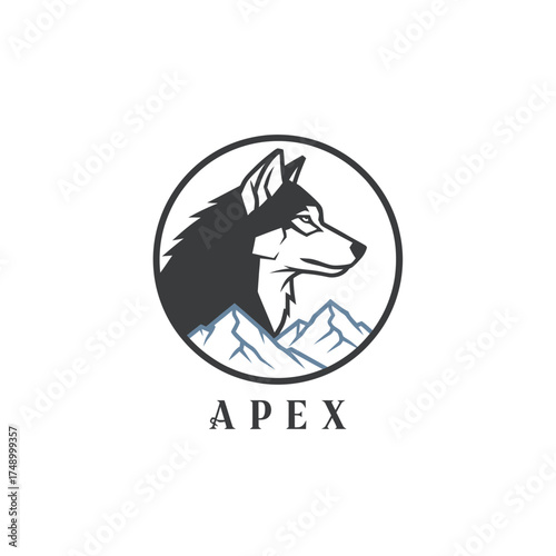 wildlife predator animal nature carnivore apex  endangered animals head 