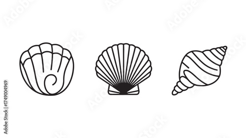 Set of three simple line art illustrations of seashells on a white background.