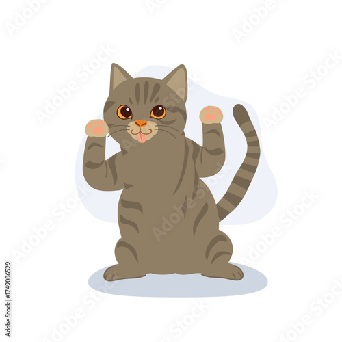 happy gray tabby kitten with raised paws adorable american shorthair character for kids design and animal clipart collections