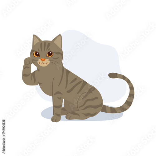 cute domestic tabby cat illustration brown gray american shorthair sitting and cleaning paw animal character for creative design projects