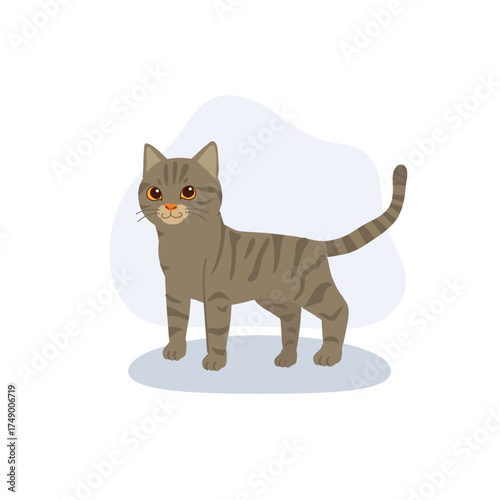 adorable gray american shorthair cat with striped fur, standing calmly in minimalist flat style