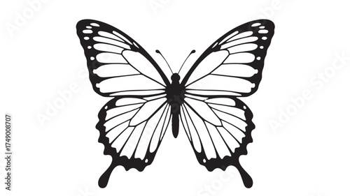 Elegant black and white butterfly illustration with intricate wing patterns.