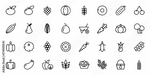 Fresh harvest icons, farm fresh market produce in minimalist style: Apple, pear, grapes, melon, wheat, corn, carrot, pumpkin, eggplant, and more for healthy eating