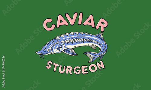 Vintage illustration of a sturgeon fish. Retro caviar artwork for seafood restaurant, t shirt print, poster