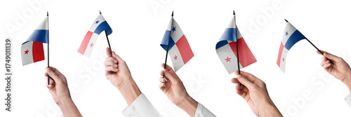 The Panama flag in hand in different angles on a white background