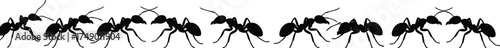 Ant silhouette border pattern, insect row design, black ants walking line, seamless entomology decoration, pest control concept, vector illustration