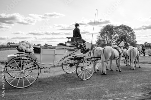 die große Schwarz-Weiß-Aufnahme mit Pferden und Kutscher 