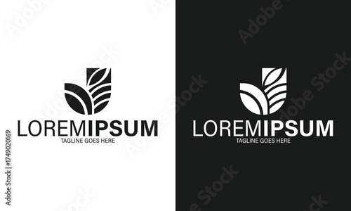 Natural Leafy Shield Vector Art: Simple Plant Design Logo for Organic Brand Identity on Black and White Backgrounds in PNG Format