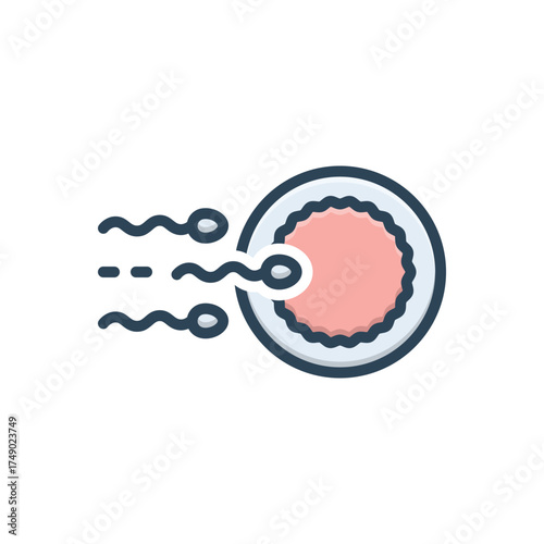 Color illustration icon for ovulation
