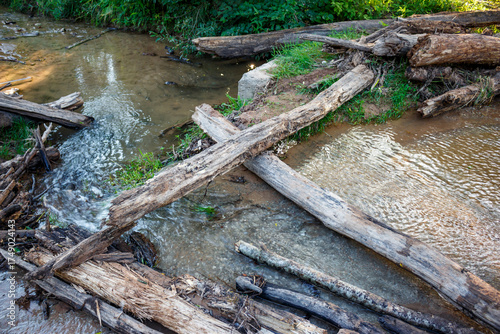 Canvastavla Fallen logs create a rustic, makeshift bridge over a shallow, winding stream flowing through lush green banks