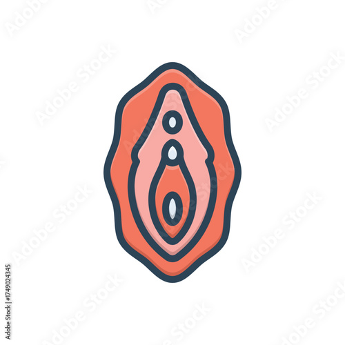 Color illustration icon for veginal