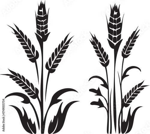 Black corn plant graphic with kernels and leaves on white background