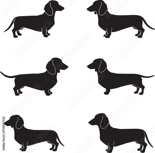 Collection of silhouetted dachshund dog poses against a white background