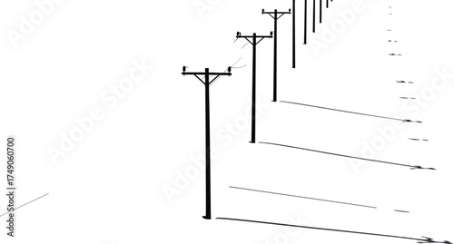 Utility poles in straight line perspective, long shadows on ground, rural landscape at sunset, electricity infrastructure, power lines, depth perspective, energy distribution, countryside