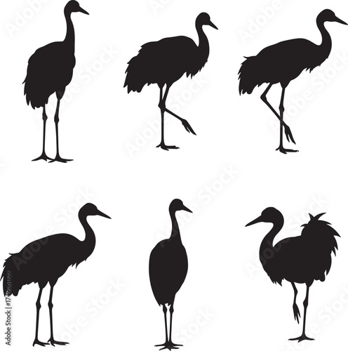 Collection of six elegant crane bird silhouettes in various graceful poses on a white background