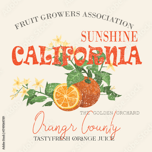 Retro California graphic with a vintage orange illustration, celebrating Orange County's sunny harvest. Ideal for travel apparel, regional souvenirs, and posters.