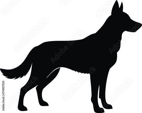 German shepherd dog silhouette 