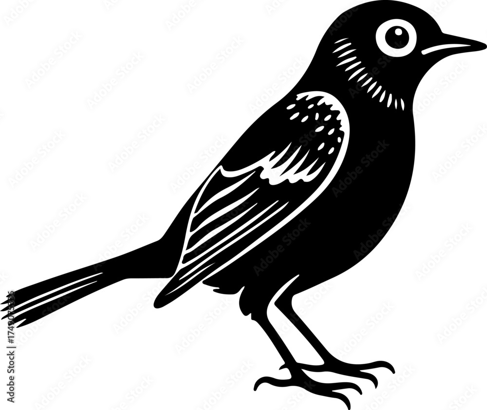 Obraz premium Black bird silhouette isolated on white background