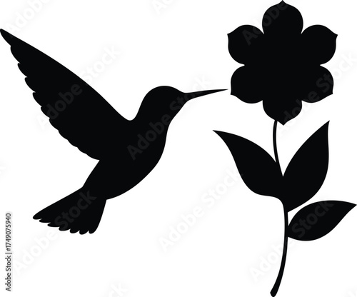 Hummingbird Hovering Near Flower Silhouette