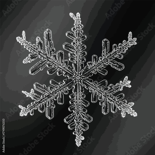 A macro shot of a real snowflake with a complex, symmetrical structure, captured against a dark gray background, showcasing its intricate crystalline details