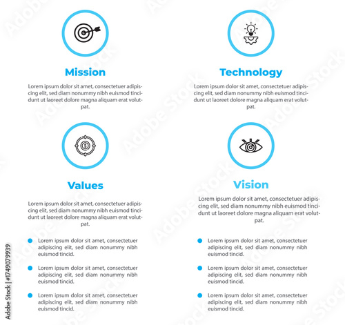 Professional Company Vision, Mission & Values infographic,