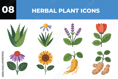 Collection of eight diverse herbal plant icons for health and wellness applications