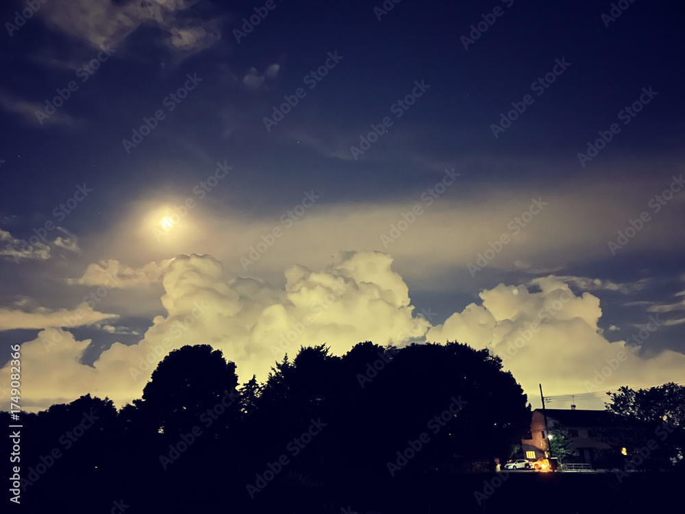 Fototapeta premium 月夜