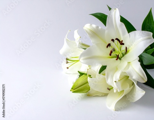白い背景に白いユリの花束のクローズアップ