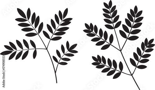 Branch Silhouette Jacaranda Vector Design – Minimal Leaf Art
