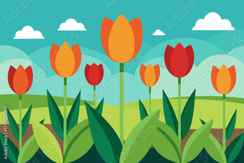 Cartoon field of tulips in full bloom vector illustration