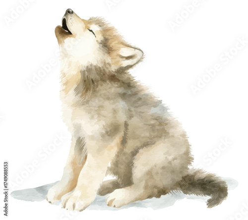 alaskan malamute puppy