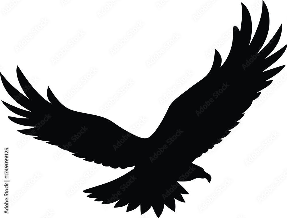 Fototapeta premium silhouette of an eagle diving at high speed