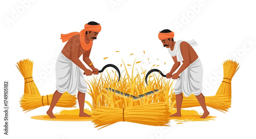 Two farmers harvesting ripe paddy fields traditionally using sickles illustration