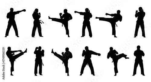Silhouetted Martial Artists Demonstrating Kicks and Punches in Various Stances.