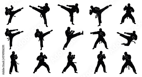 Silhouetted Martial Artists Demonstrating Various Kicks and Fighting Stances.