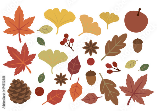 秋の実りと紅葉のベクター素材セット（どんぐり・松ぼっくり・落ち葉）