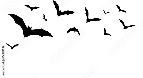 Swarm of flying vampire bats in black silhouette, isolated on a white background. Scary nocturnal creature illustration for a Halloween design