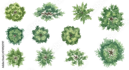 Collection of Watercolor Tree Top Views for Architectural and Landscape Design, white background
