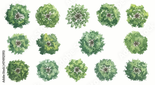 Aerial view illustration of various trees in shades of green for landscape design and environmental visuals