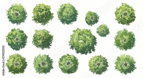 Botanical Illustration of Dense Bushes from an Aerial View for Digital and Print Design Projects