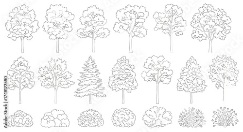 Outline Vector Collection of Trees and Bushes for Architectural Visualization, white background