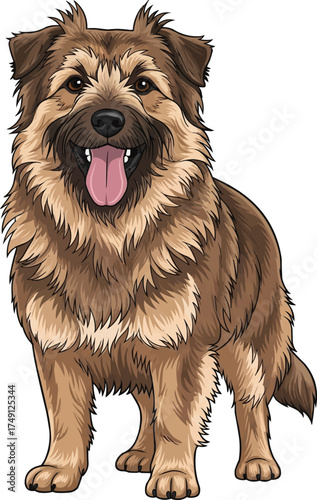 Dutch Smoushond dog standing happy panting vector illustration