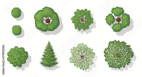 Set of Overhead Tree Illustrations for Architectural and Landscape Designs, white background